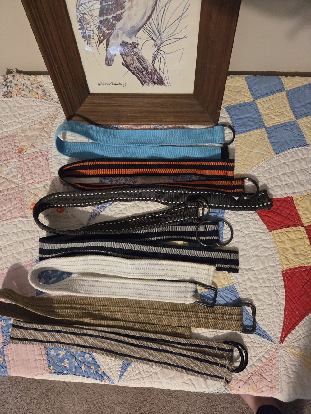 Assorted Fabric D-Ring Belts - Blue, Black, White, Tan Set Of 7 One Says Size 6